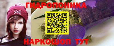 прущие грибы Гусь-Хрустальный