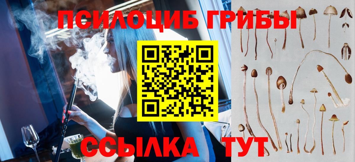 Псилоцибиновые грибы Psilocybe  Вход с VPN  Норильск 
